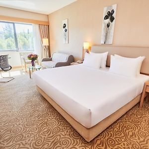 Habitación Deluxe con Cama King